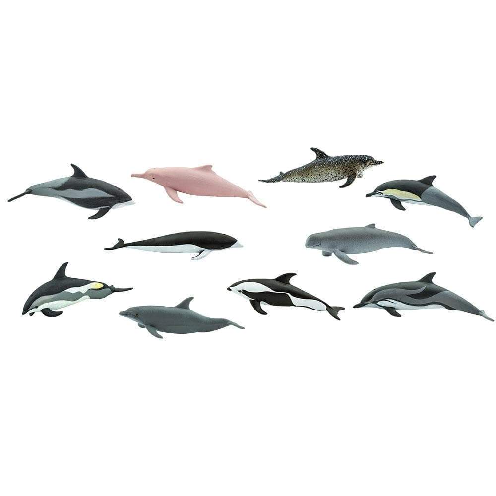 Dolphins TOOB®-2