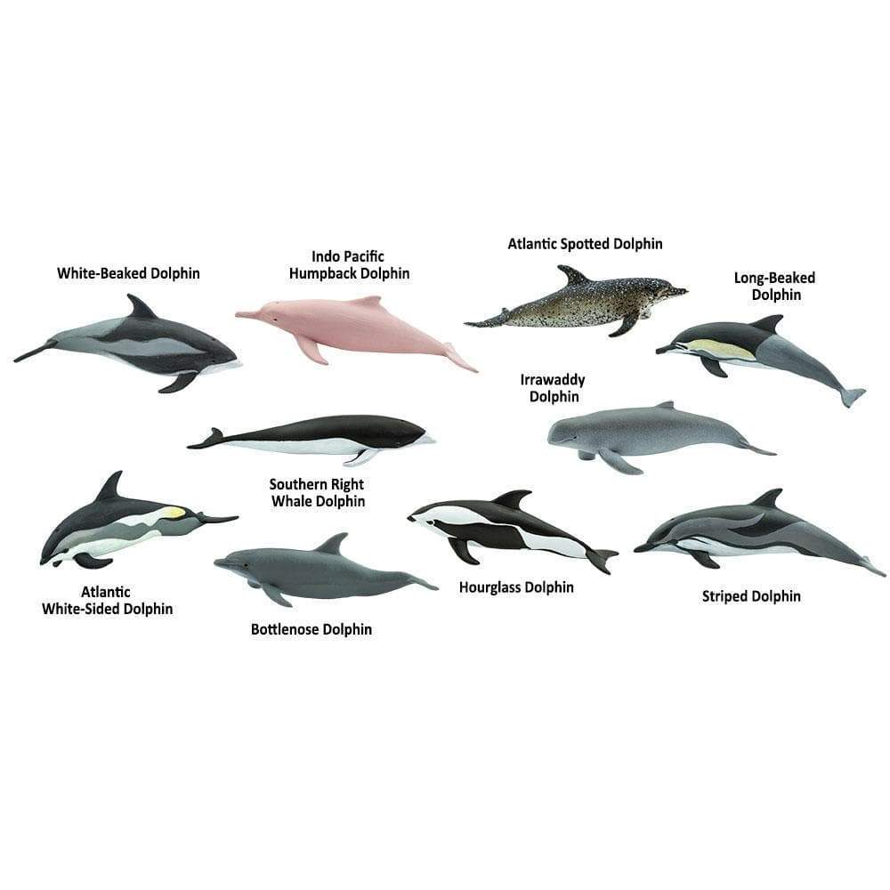 Dolphins TOOB®-3